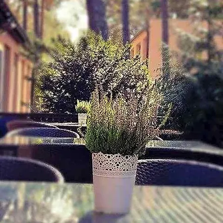 Hotel Osrodek Wypoczynkowy W Sosnowym Lesie *